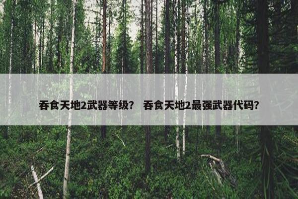 吞食天地2武器等级？ 吞食天地2最强武器代码？