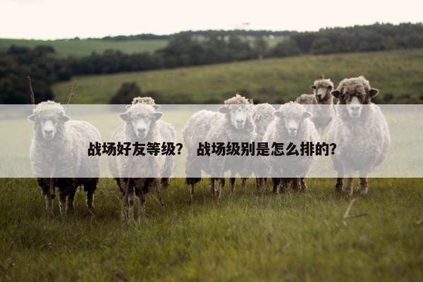 战场好友等级？ 战场级别是怎么排的？