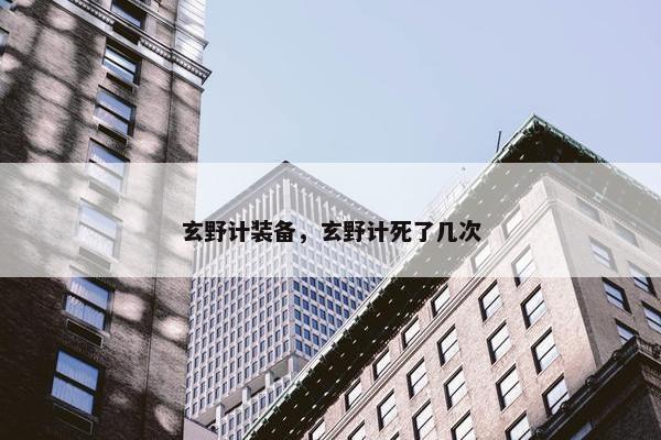 玄野计装备，玄野计死了几次