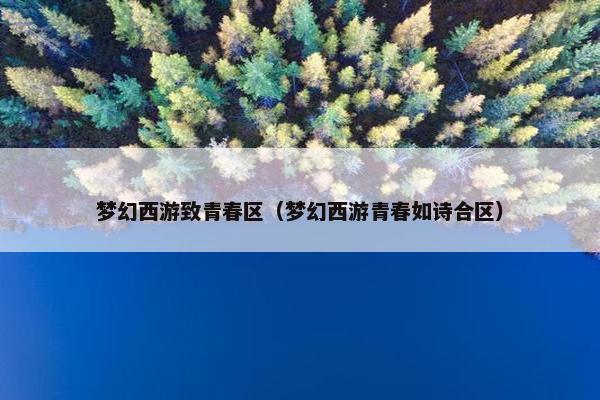 梦幻西游致青春区（梦幻西游青春如诗合区）