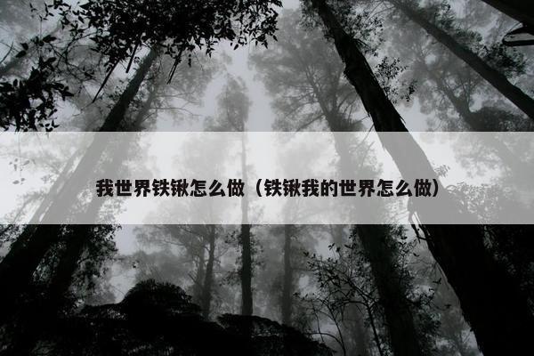 我世界铁锹怎么做（铁锹我的世界怎么做）
