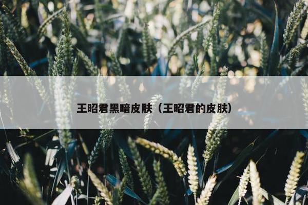 王昭君黑暗皮肤（王昭君的皮肤）