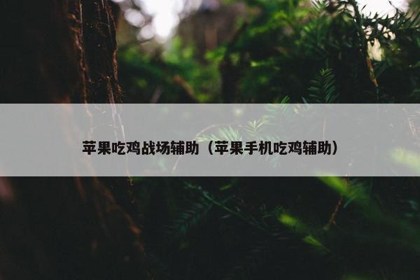 苹果吃鸡战场辅助（苹果手机吃鸡辅助）