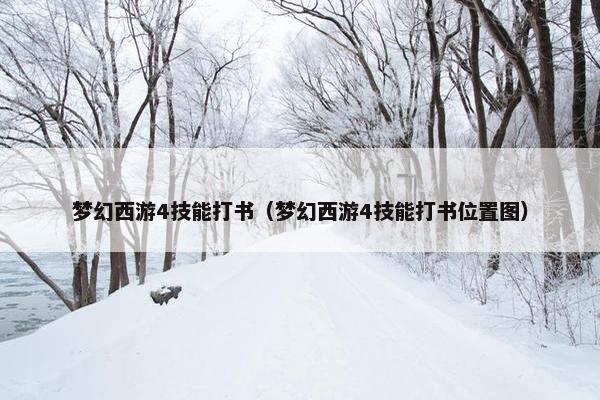 梦幻西游4技能打书（梦幻西游4技能打书位置图）
