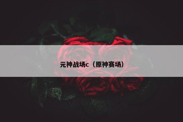 元神战场c（原神赛场）