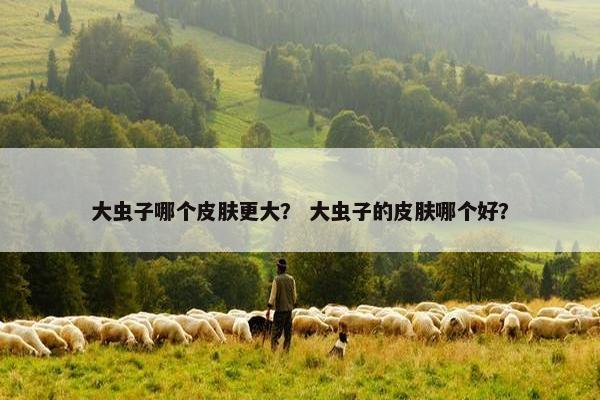 大虫子哪个皮肤更大？ 大虫子的皮肤哪个好？