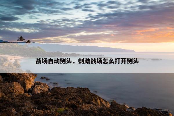战场自动侧头，刺激战场怎么打开侧头
