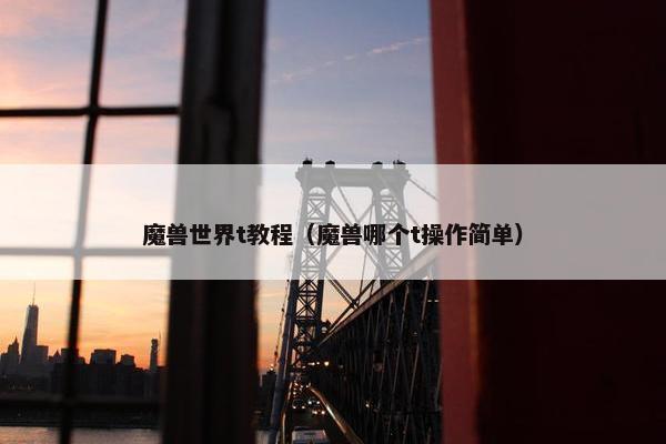 魔兽世界t教程（魔兽哪个t操作简单）