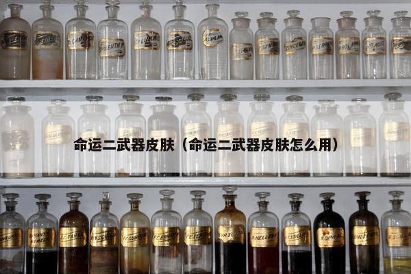 命运二武器皮肤（命运二武器皮肤怎么用）