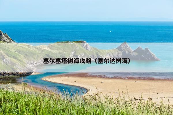 塞尔塞塔树海攻略（塞尔达树海）