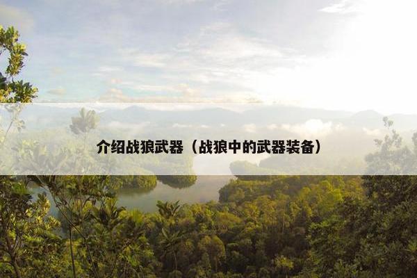 介绍战狼武器（战狼中的武器装备）