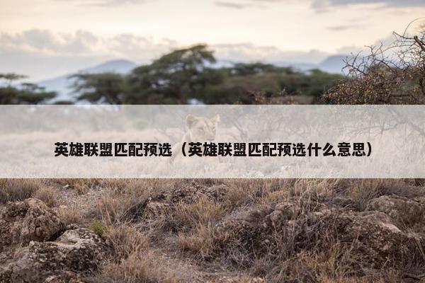 英雄联盟匹配预选（英雄联盟匹配预选什么意思）
