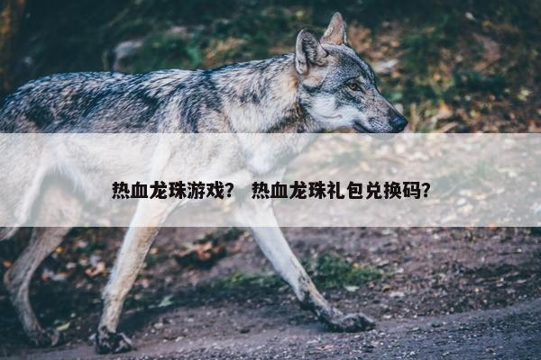 热血龙珠游戏？ 热血龙珠礼包兑换码？