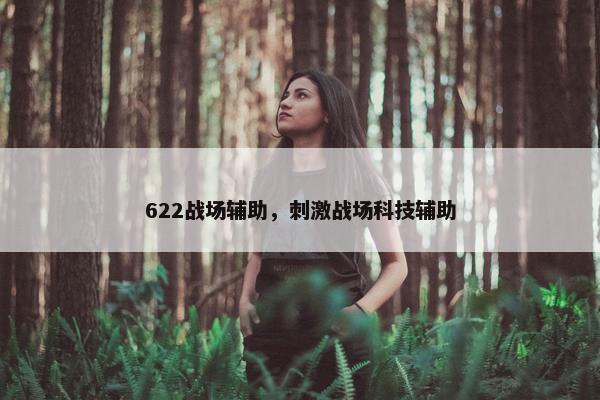 622战场辅助，刺激战场科技辅助
