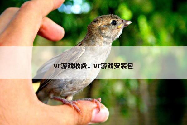 vr游戏收费，vr游戏安装包