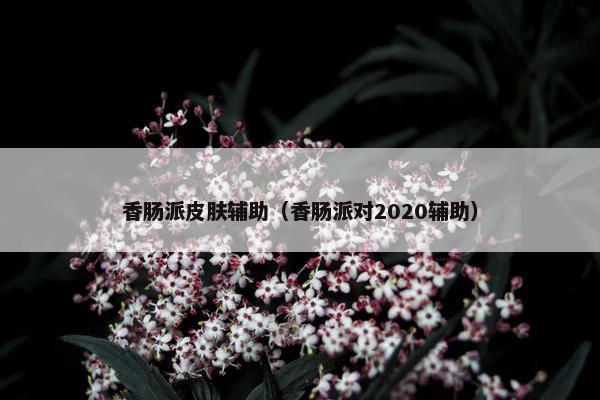 香肠派皮肤辅助（香肠派对2020辅助）