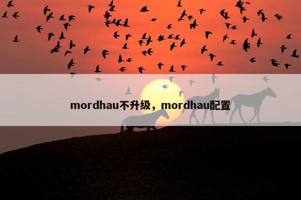 mordhau不升级，mordhau配置