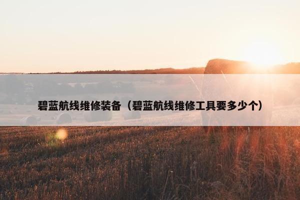 碧蓝航线维修装备（碧蓝航线维修工具要多少个）