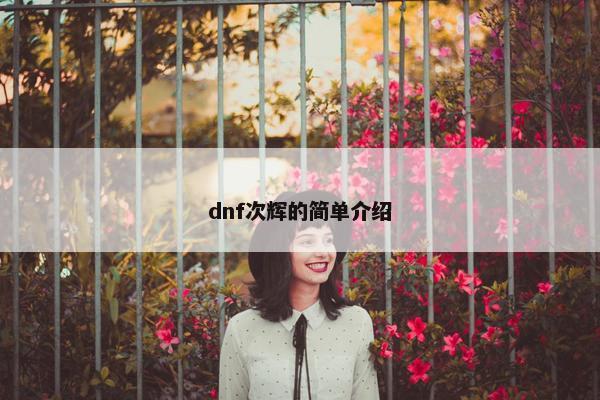 dnf次辉的简单介绍