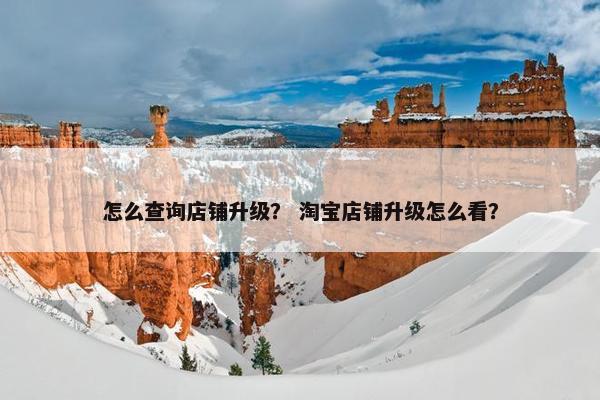 怎么查询店铺升级？ 淘宝店铺升级怎么看？