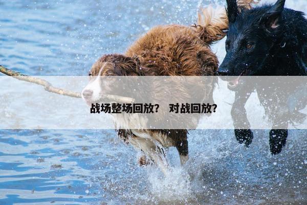 战场整场回放？ 对战回放？