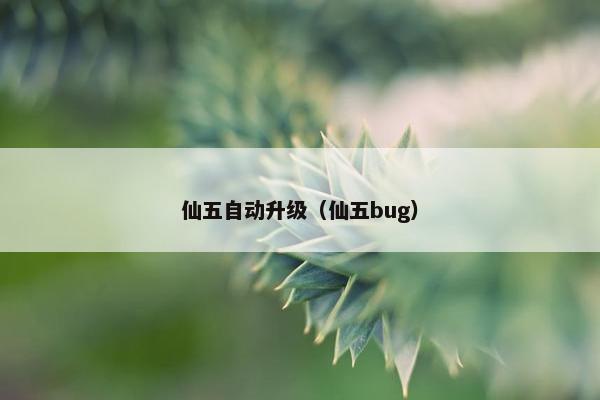 仙五自动升级（仙五bug）