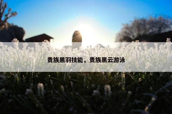 贵族黑羽技能，贵族黑云游泳
