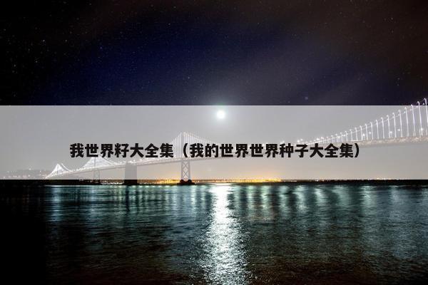 我世界籽大全集（我的世界世界种子大全集）