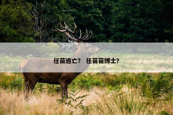任苗逃亡？ 任苗苗博士？