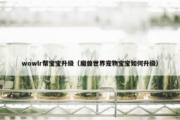 wowlr帮宝宝升级（魔兽世界宠物宝宝如何升级）