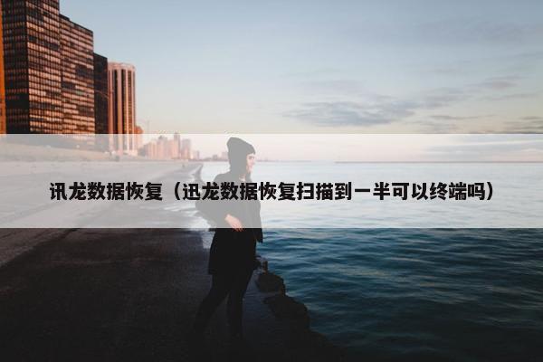 讯龙数据恢复（迅龙数据恢复扫描到一半可以终端吗）