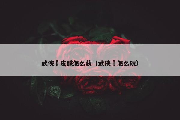 武侠乂皮肤怎么获（武侠乂怎么玩）