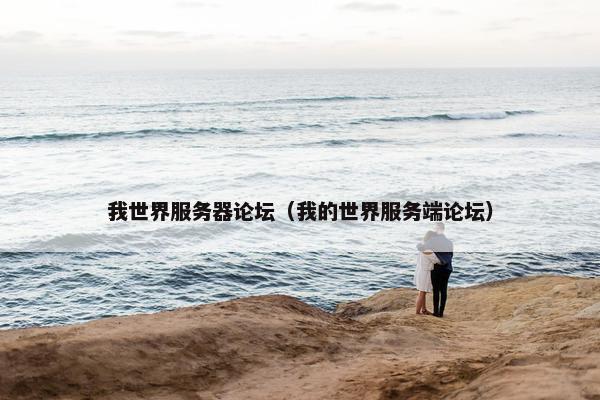 我世界服务器论坛（我的世界服务端论坛）