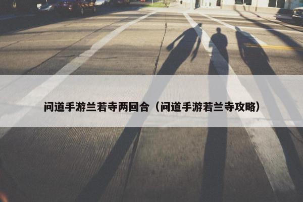 问道手游兰若寺两回合（问道手游若兰寺攻略）