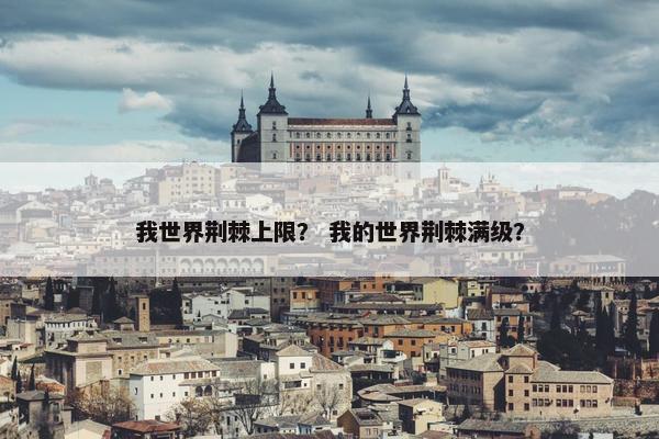 我世界荆棘上限？ 我的世界荆棘满级？