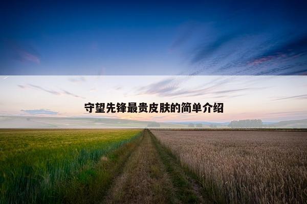 守望先锋最贵皮肤的简单介绍