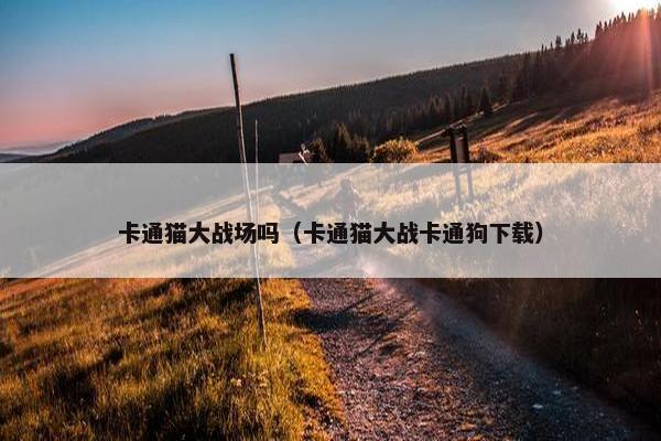 卡通猫大战场吗（卡通猫大战卡通狗下载）