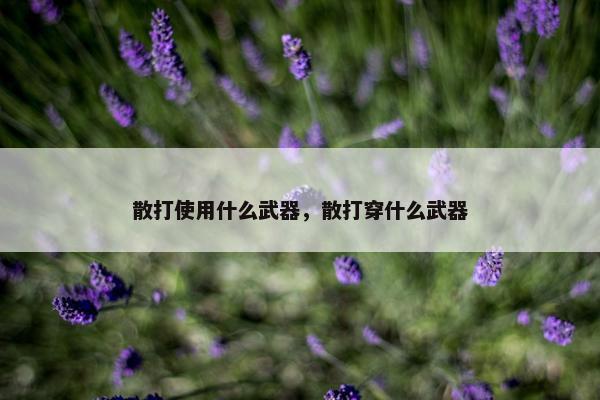 散打使用什么武器，散打穿什么武器