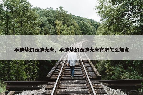 手游梦幻西游大唐，手游梦幻西游大唐官府怎么加点