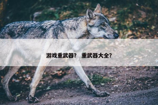 游戏重武器？ 重武器大全？