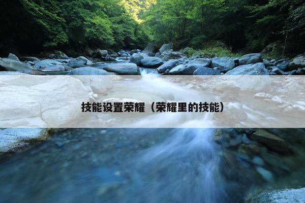 技能设置荣耀（荣耀里的技能）