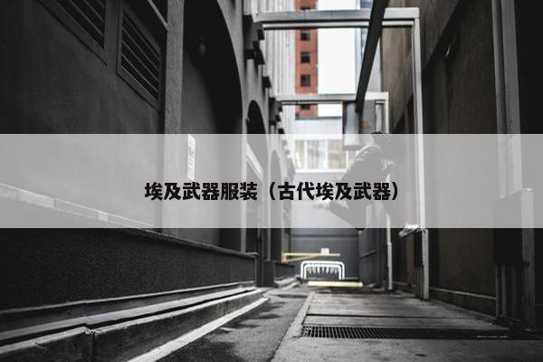 埃及武器服装（古代埃及武器）