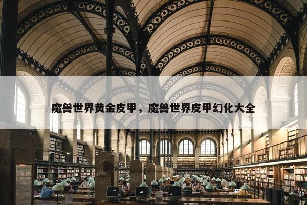 魔兽世界黄金皮甲，魔兽世界皮甲幻化大全