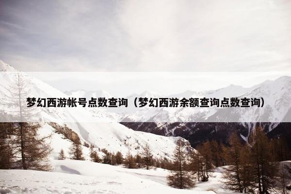 梦幻西游帐号点数查询（梦幻西游余额查询点数查询）