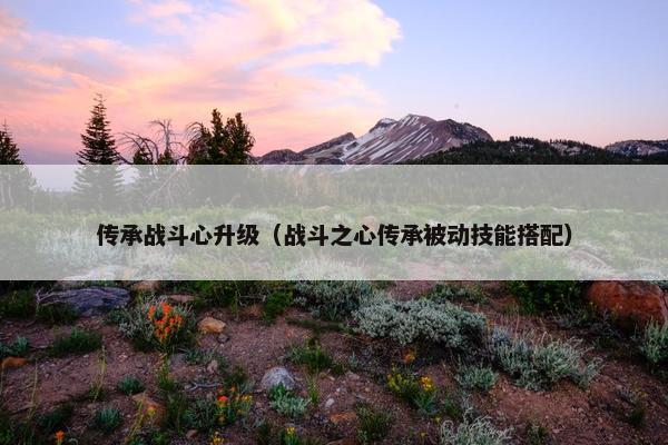 传承战斗心升级（战斗之心传承被动技能搭配）