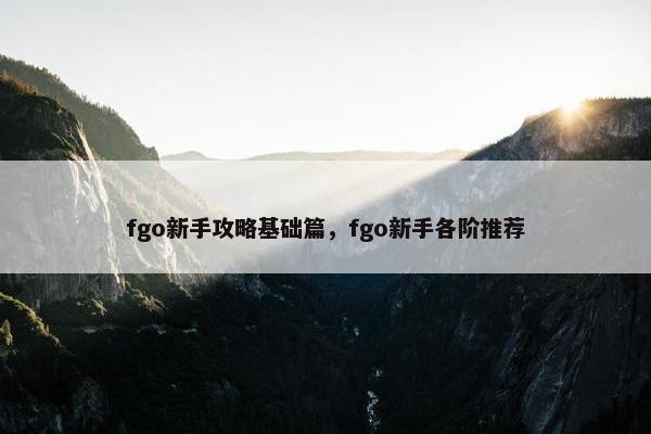 fgo新手攻略基础篇，fgo新手各阶推荐