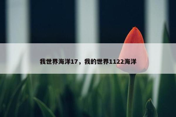 我世界海洋17，我的世界1122海洋