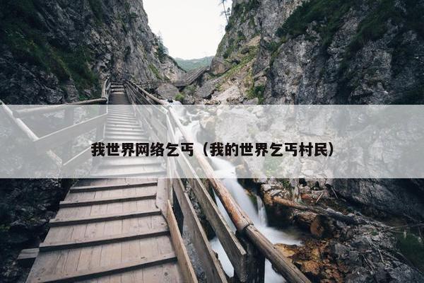我世界网络乞丐（我的世界乞丐村民）