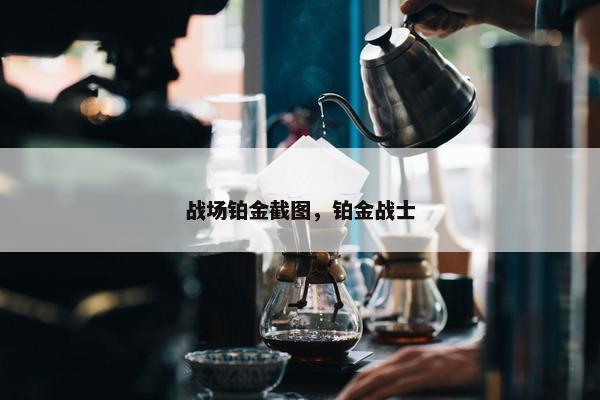 战场铂金截图，铂金战士