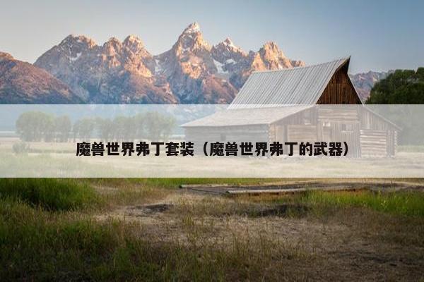 魔兽世界弗丁套装（魔兽世界弗丁的武器）